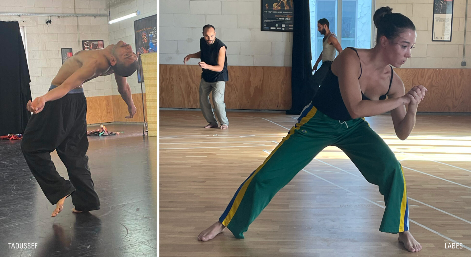 Montage-Photos-Taousef-Labes